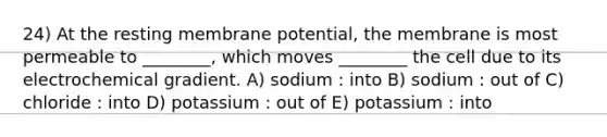 24) At the resting membrane potential, the membrane is most permeable to ________, which moves ________ the cell due to its electrochemical gradient. A) sodium : into B) sodium : out of C) chloride : into D) potassium : out of E) potassium : into