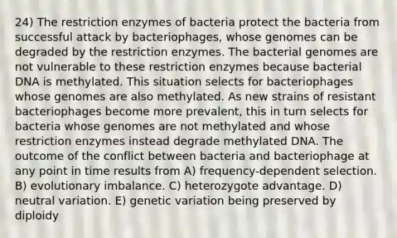 24) The restriction enzymes of bacteria protect the bacteria from successful attack by bacteriophages, whose genomes can be degraded by the restriction enzymes. The bacterial genomes are not vulnerable to these restriction enzymes because bacterial DNA is methylated. This situation selects for bacteriophages whose genomes are also methylated. As new strains of resistant bacteriophages become more prevalent, this in turn selects for bacteria whose genomes are not methylated and whose restriction enzymes instead degrade methylated DNA. The outcome of the conflict between bacteria and bacteriophage at any point in time results from A) frequency-dependent selection. B) evolutionary imbalance. C) heterozygote advantage. D) neutral variation. E) genetic variation being preserved by diploidy