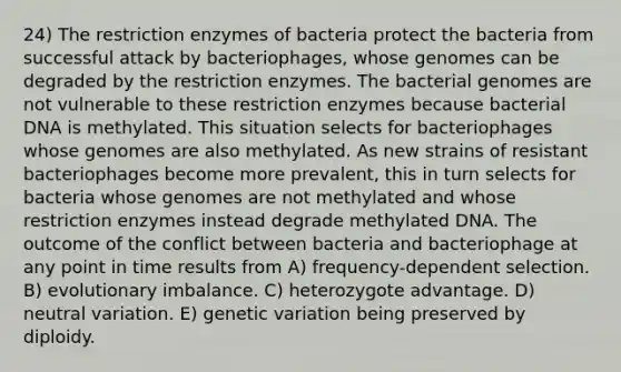 24) The restriction enzymes of bacteria protect the bacteria from successful attack by bacteriophages, whose genomes can be degraded by the restriction enzymes. The bacterial genomes are not vulnerable to these restriction enzymes because bacterial DNA is methylated. This situation selects for bacteriophages whose genomes are also methylated. As new strains of resistant bacteriophages become more prevalent, this in turn selects for bacteria whose genomes are not methylated and whose restriction enzymes instead degrade methylated DNA. The outcome of the conflict between bacteria and bacteriophage at any point in time results from A) frequency-dependent selection. B) evolutionary imbalance. C) heterozygote advantage. D) neutral variation. E) genetic variation being preserved by diploidy.