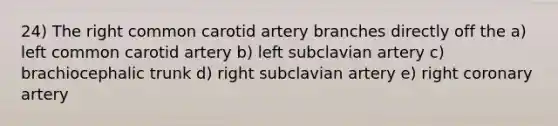 24) The right common carotid artery branches directly off the a) left common carotid artery b) left subclavian artery c) brachiocephalic trunk d) right subclavian artery e) right coronary artery