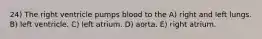 24) The right ventricle pumps blood to the A) right and left lungs. B) left ventricle. C) left atrium. D) aorta. E) right atrium.