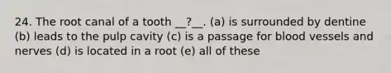 24. The root canal of a tooth __?__. (a) is surrounded by dentine (b) leads to the pulp cavity (c) is a passage for blood vessels and nerves (d) is located in a root (e) all of these