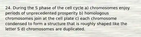 24. During the S phase of the cell cycle a) chromosomes enjoy periods of unprecedented prosperity b) homologous chromosomes join at the cell plate c) each chromosome condensed to form a structure that is roughly shaped like the letter S d) chromosomes are duplicated.