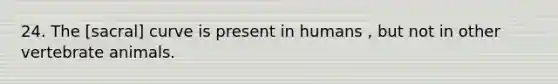 24. The [sacral] curve is present in humans , but not in other vertebrate animals.