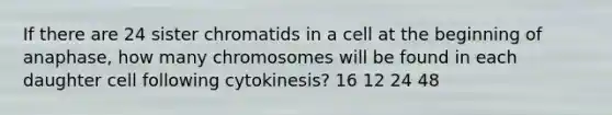 If there are 24 sister chromatids in a cell at the beginning of anaphase, how many chromosomes will be found in each daughter cell following cytokinesis? 16 12 24 48