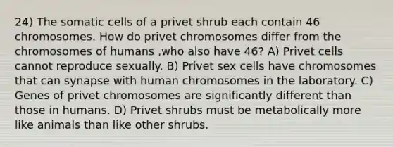 24) The somatic cells of a privet shrub each contain 46 chromosomes. How do privet chromosomes differ from the chromosomes of humans ,who also have 46? A) Privet cells cannot reproduce sexually. B) Privet sex cells have chromosomes that can synapse with human chromosomes in the laboratory. C) Genes of privet chromosomes are significantly different than those in humans. D) Privet shrubs must be metabolically more like animals than like other shrubs.