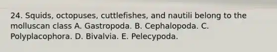 24. Squids, octopuses, cuttlefishes, and nautili belong to the molluscan class A. Gastropoda. B. Cephalopoda. C. Polyplacophora. D. Bivalvia. E. Pelecypoda.