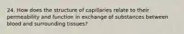 24. How does the structure of capillaries relate to their permeability and function in exchange of substances between blood and surrounding tissues?