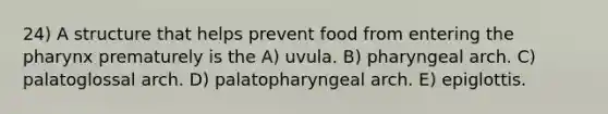 24) A structure that helps prevent food from entering the pharynx prematurely is the A) uvula. B) pharyngeal arch. C) palatoglossal arch. D) palatopharyngeal arch. E) epiglottis.