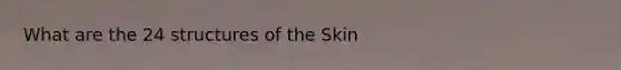 What are the 24 structures of the Skin