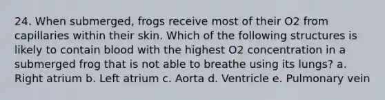 24. When submerged, frogs receive most of their O2 from capillaries within their skin. Which of the following structures is likely to contain blood with the highest O2 concentration in a submerged frog that is not able to breathe using its lungs? a. Right atrium b. Left atrium c. Aorta d. Ventricle e. Pulmonary vein