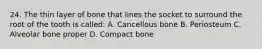 24. The thin layer of bone that lines the socket to surround the root of the tooth is called: A. Cancellous bone B. Periosteum C. Alveolar bone proper D. Compact bone