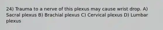 24) Trauma to a nerve of this plexus may cause wrist drop. A) Sacral plexus B) Brachial plexus C) Cervical plexus D) Lumbar plexus