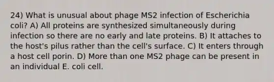 24) What is unusual about phage MS2 infection of Escherichia coli? A) All proteins are synthesized simultaneously during infection so there are no early and late proteins. B) It attaches to the host's pilus rather than the cell's surface. C) It enters through a host cell porin. D) <a href='https://www.questionai.com/knowledge/keWHlEPx42-more-than' class='anchor-knowledge'>more than</a> one MS2 phage can be present in an individual E. coli cell.