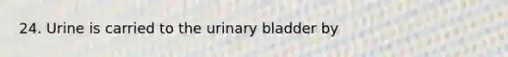 24. Urine is carried to the urinary bladder by