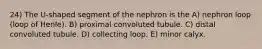 24) The U-shaped segment of the nephron is the A) nephron loop (loop of Henle). B) proximal convoluted tubule. C) distal convoluted tubule. D) collecting loop. E) minor calyx.