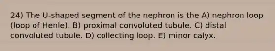 24) The U-shaped segment of the nephron is the A) nephron loop (loop of Henle). B) proximal convoluted tubule. C) distal convoluted tubule. D) collecting loop. E) minor calyx.