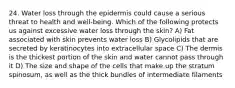 24. Water loss through the epidermis could cause a serious threat to health and well-being. Which of the following protects us against excessive water loss through the skin? A) Fat associated with skin prevents water loss B) Glycolipids that are secreted by keratinocytes into extracellular space C) The dermis is the thickest portion of the skin and water cannot pass through it D) The size and shape of the cells that make up the stratum spinosum, as well as the thick bundles of intermediate filaments