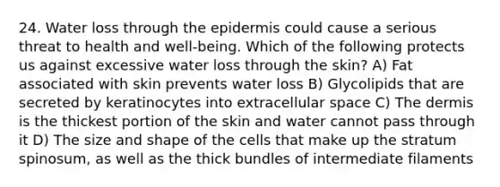 24. Water loss through the epidermis could cause a serious threat to health and well-being. Which of the following protects us against excessive water loss through the skin? A) Fat associated with skin prevents water loss B) Glycolipids that are secreted by keratinocytes into extracellular space C) The dermis is the thickest portion of the skin and water cannot pass through it D) The size and shape of the cells that make up the stratum spinosum, as well as the thick bundles of intermediate filaments