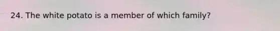 24. The white potato is a member of which family?