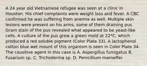 A 24 year old Vietnamese refugee was seen at a clinic in Houston. His chief complaints were weight loss and fever. A CBC confirmed he was suffering from anemia as well. Multiple skin lesions were present on his arms, some of them draining pus. Gram stain of the pus revealed what appeared to be yeast-like cells. A culture of the pus grew a green mold at 22*C, which produced a red soluble pigment (Color Plate 33). A lactophenol cotton blue wet mount of this organism is seen in Color Plate 34. The causitive agent in this case is A. Aspergillus fumigatus B. Fusarium sp. C. Trichoderma sp. D. Penicillium marneffei