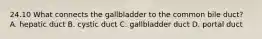 24.10 What connects the gallbladder to the common bile duct? A. hepatic duct B. cystic duct C. gallbladder duct D. portal duct