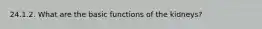 24.1.2. What are the basic functions of the kidneys?