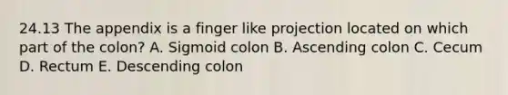 24.13 The appendix is a finger like projection located on which part of the colon? A. Sigmoid colon B. Ascending colon C. Cecum D. Rectum E. Descending colon