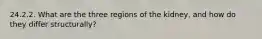 24.2.2. What are the three regions of the kidney, and how do they differ structurally?