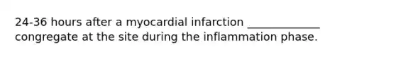 24-36 hours after a myocardial infarction _____________ congregate at the site during the inflammation phase.