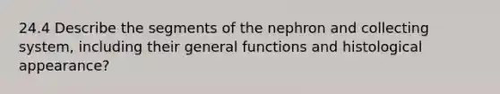 24.4 Describe the segments of the nephron and collecting system, including their general functions and histological appearance?