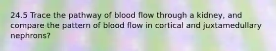 24.5 Trace the pathway of blood flow through a kidney, and compare the pattern of blood flow in cortical and juxtamedullary nephrons?