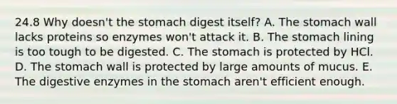 24.8 Why doesn't <a href='https://www.questionai.com/knowledge/kLccSGjkt8-the-stomach' class='anchor-knowledge'>the stomach</a> digest itself? A. The stomach wall lacks proteins so enzymes won't attack it. B. The stomach lining is too tough to be digested. C. The stomach is protected by HCl. D. The stomach wall is protected by large amounts of mucus. E. The <a href='https://www.questionai.com/knowledge/kK14poSlmL-digestive-enzymes' class='anchor-knowledge'>digestive enzymes</a> in the stomach aren't efficient enough.