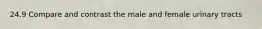 24.9 Compare and contrast the male and female urinary tracts