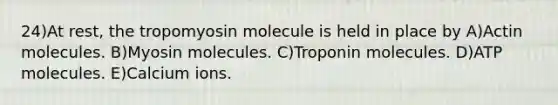 24)At rest, the tropomyosin molecule is held in place by A)Actin molecules. B)Myosin molecules. C)Troponin molecules. D)ATP molecules. E)Calcium ions.