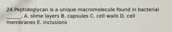 24.Peptidoglycan is a unique macromolecule found in bacterial ______. A. slime layers B. capsules C. cell walls D. cell membranes E. inclusions