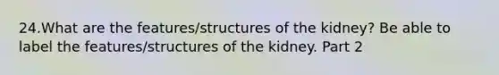 24.What are the features/structures of the kidney? Be able to label the features/structures of the kidney. Part 2