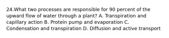 24.What two processes are responsible for 90 percent of the upward flow of water through a plant? A. Transpiration and capillary action B. Protein pump and evaporation C. Condensation and transpiration D. Diffusion and active transport