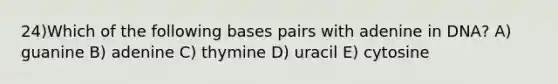 24)​Which of the following bases pairs with adenine in DNA? ​​A) guanine​​ B) adenine​ C) thymine​ D) uracil​ E) cytosine