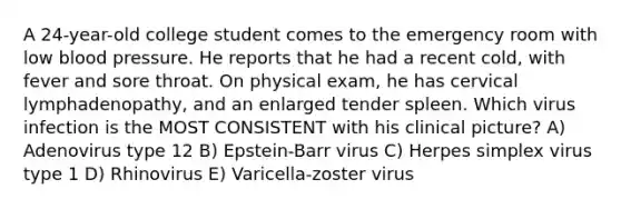 A 24-year-old college student comes to the emergency room with low blood pressure. He reports that he had a recent cold, with fever and sore throat. On physical exam, he has cervical lymphadenopathy, and an enlarged tender spleen. Which virus infection is the MOST CONSISTENT with his clinical picture? A) Adenovirus type 12 B) Epstein-Barr virus C) Herpes simplex virus type 1 D) Rhinovirus E) Varicella-zoster virus