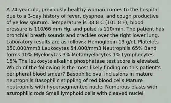 A 24-year-old, previously healthy woman comes to the hospital due to a 3-day history of fever, dyspnea, and cough productive of yellow sputum. Temperature is 38.8 C (101.8 F), blood pressure is 110/66 mm Hg, and pulse is 110/min. The patient has bronchial breath sounds and crackles over the right lower lung. Laboratory results are as follows: Hemoglobin 13 g/dL Platelets 350,000/mm3 Leukocytes 54,000/mm3 Neutrophils 65% Band forms 10% Myelocytes 3% Metamyelocytes 1% Lymphocytes 15% The leukocyte alkaline phosphatase test score is elevated. Which of the following is the most likely finding on this patient's peripheral blood smear? Basophilic oval inclusions in mature neutrophils Basophilic stippling of red blood cells Mature neutrophils with hypersegmented nuclei Numerous blasts with azurophilic rods Small lymphoid cells with cleaved nuclei