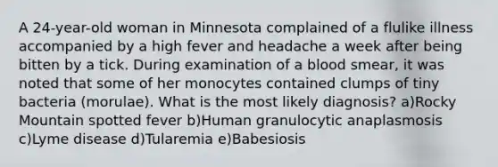 A 24-year-old woman in Minnesota complained of a flulike illness accompanied by a high fever and headache a week after being bitten by a tick. During examination of a blood smear, it was noted that some of her monocytes contained clumps of tiny bacteria (morulae). What is the most likely diagnosis? a)Rocky Mountain spotted fever b)Human granulocytic anaplasmosis c)Lyme disease d)Tularemia e)Babesiosis