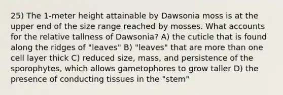 25) The 1-meter height attainable by Dawsonia moss is at the upper end of the size range reached by mosses. What accounts for the relative tallness of Dawsonia? A) the cuticle that is found along the ridges of "leaves" B) "leaves" that are more than one cell layer thick C) reduced size, mass, and persistence of the sporophytes, which allows gametophores to grow taller D) the presence of conducting tissues in the "stem"