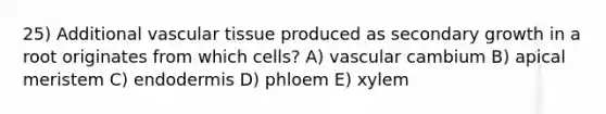 25) Additional <a href='https://www.questionai.com/knowledge/k1HVFq17mo-vascular-tissue' class='anchor-knowledge'>vascular tissue</a> produced as secondary growth in a root originates from which cells? A) vascular cambium B) apical meristem C) endodermis D) phloem E) xylem