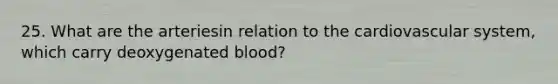 25. What are the arteriesin relation to the cardiovascular system, which carry deoxygenated blood?