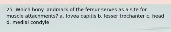 25. Which bony landmark of the femur serves as a site for muscle attachments? a. fovea capitis b. lesser trochanter c. head d. medial condyle