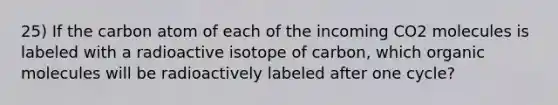 25) If the carbon atom of each of the incoming CO2 molecules is labeled with a radioactive isotope of carbon, which <a href='https://www.questionai.com/knowledge/kjUwUacPFG-organic-molecules' class='anchor-knowledge'>organic molecules</a> will be radioactively labeled after one cycle?