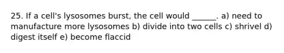 25. If a cell's lysosomes burst, the cell would ______. a) need to manufacture more lysosomes b) divide into two cells c) shrivel d) digest itself e) become flaccid