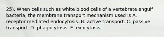 25). When cells such as white blood cells of a vertebrate engulf bacteria, the membrane transport mechanism used is A. receptor-mediated endocytosis. B. active transport. C. passive transport. D. phagocytosis. E. exocytosis.