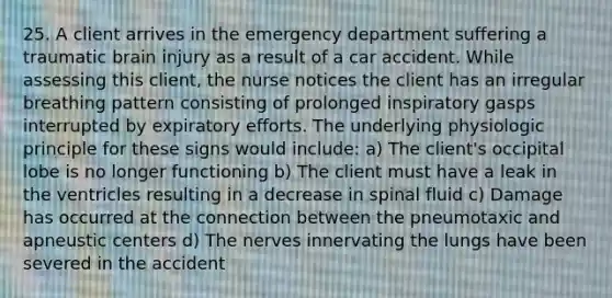 25. A client arrives in the emergency department suffering a traumatic brain injury as a result of a car accident. While assessing this client, the nurse notices the client has an irregular breathing pattern consisting of prolonged inspiratory gasps interrupted by expiratory efforts. The underlying physiologic principle for these signs would include: a) The client's occipital lobe is no longer functioning b) The client must have a leak in the ventricles resulting in a decrease in spinal fluid c) Damage has occurred at the connection between the pneumotaxic and apneustic centers d) The nerves innervating the lungs have been severed in the accident